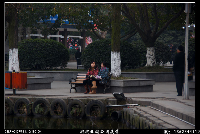 DSC01647.jpg