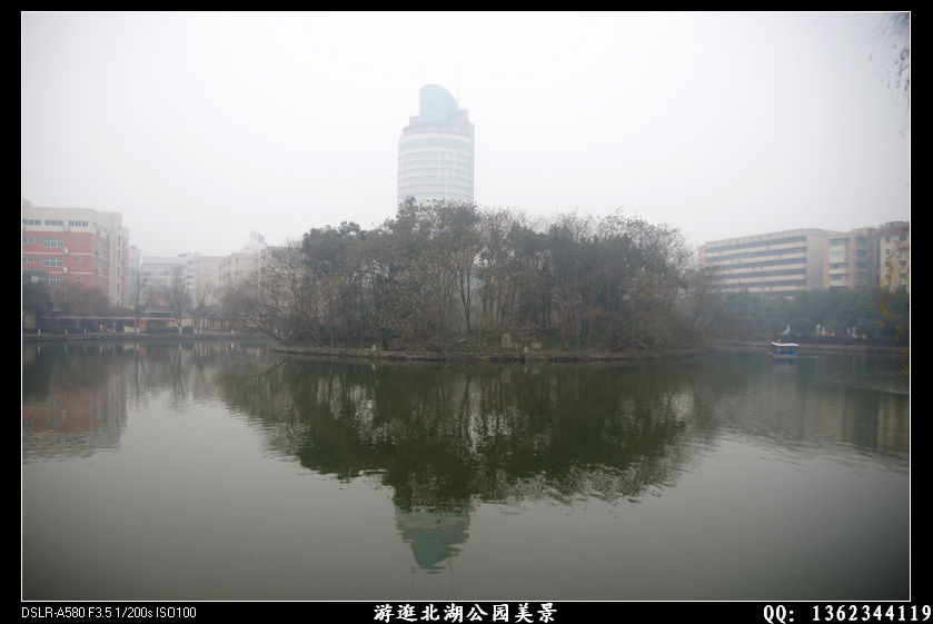 DSC01785.jpg