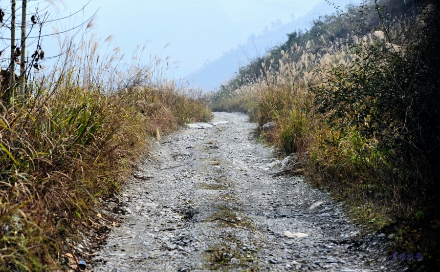 _DSC9092.jpg