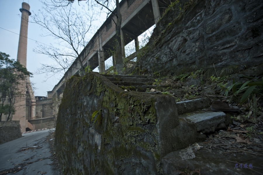 _DSC9151.jpg