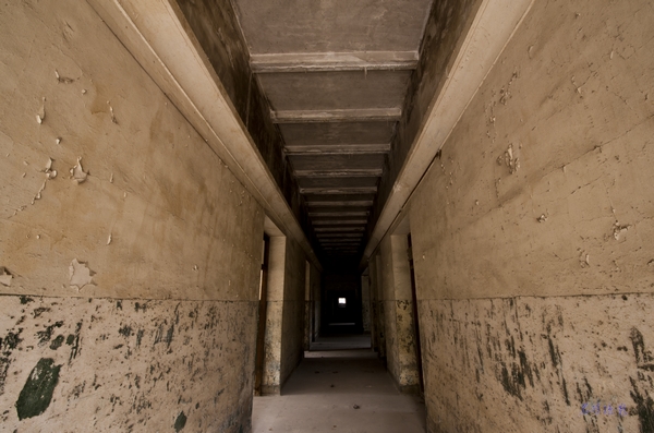 _DSC9009.jpg