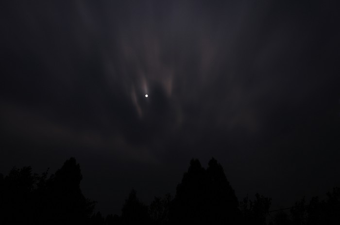 DSC_0251.jpg