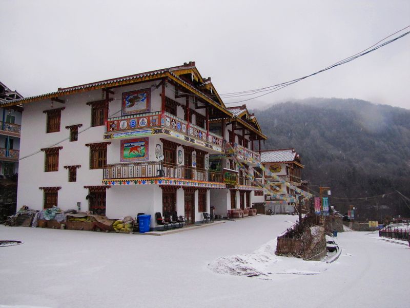 IMG_3905.JPG