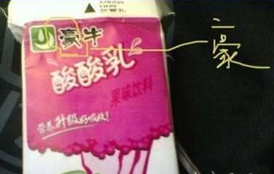 ţ.bmp