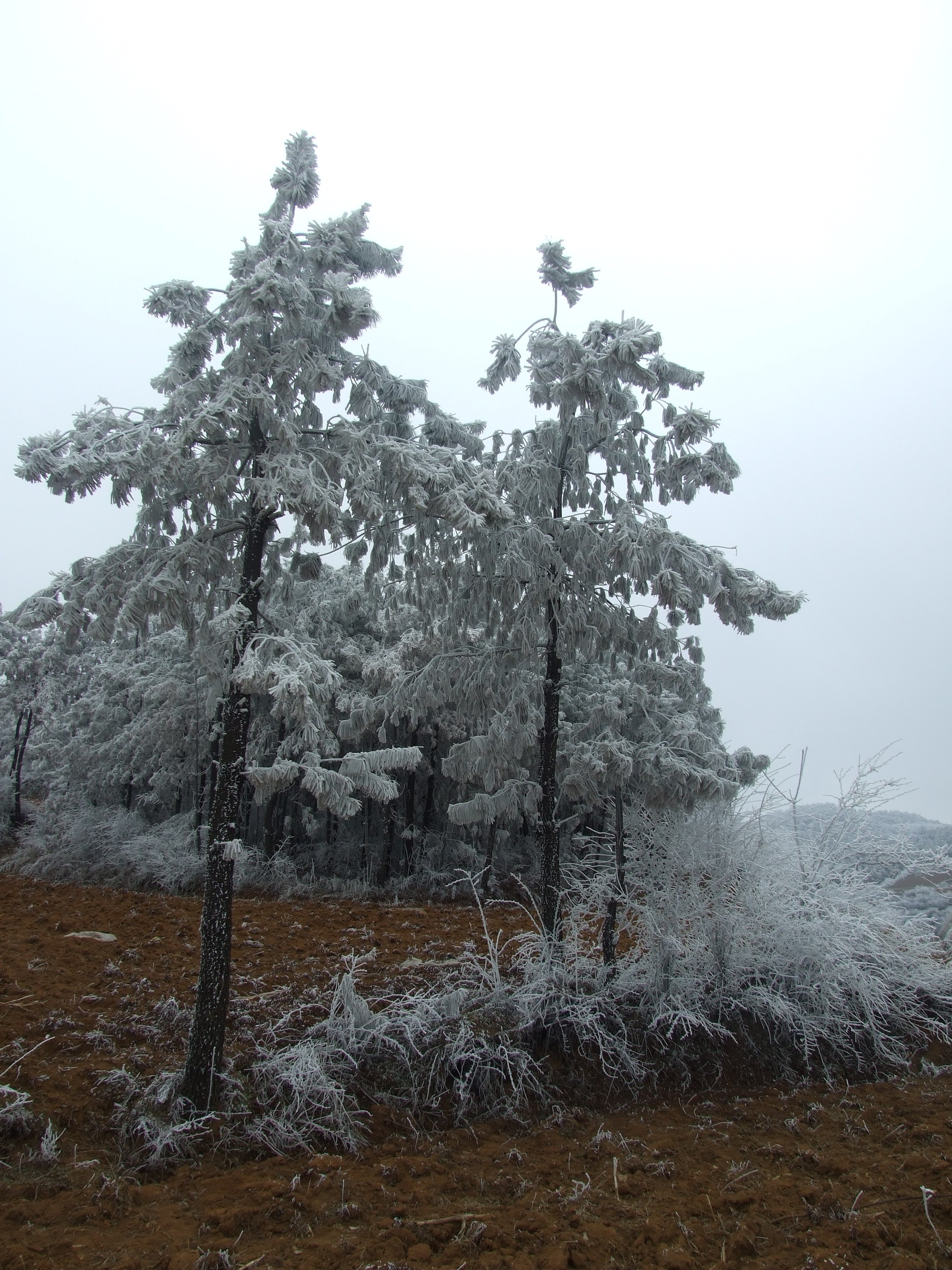 DSCF4269.JPG
