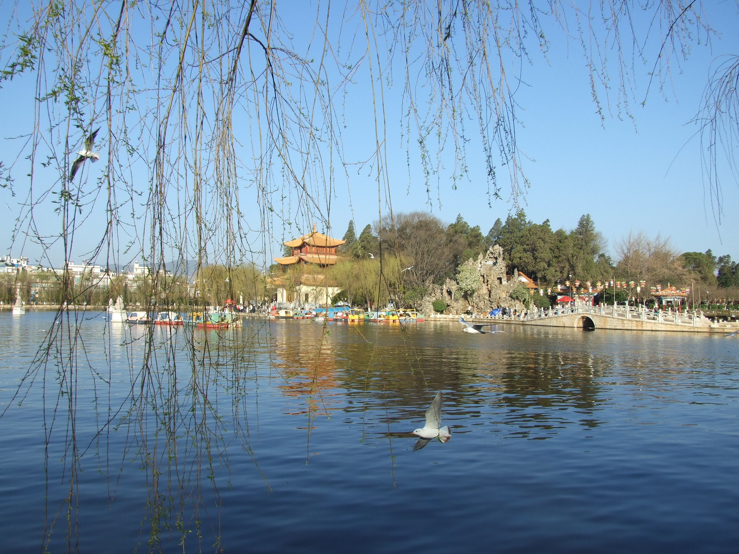 DSCF4286.JPG