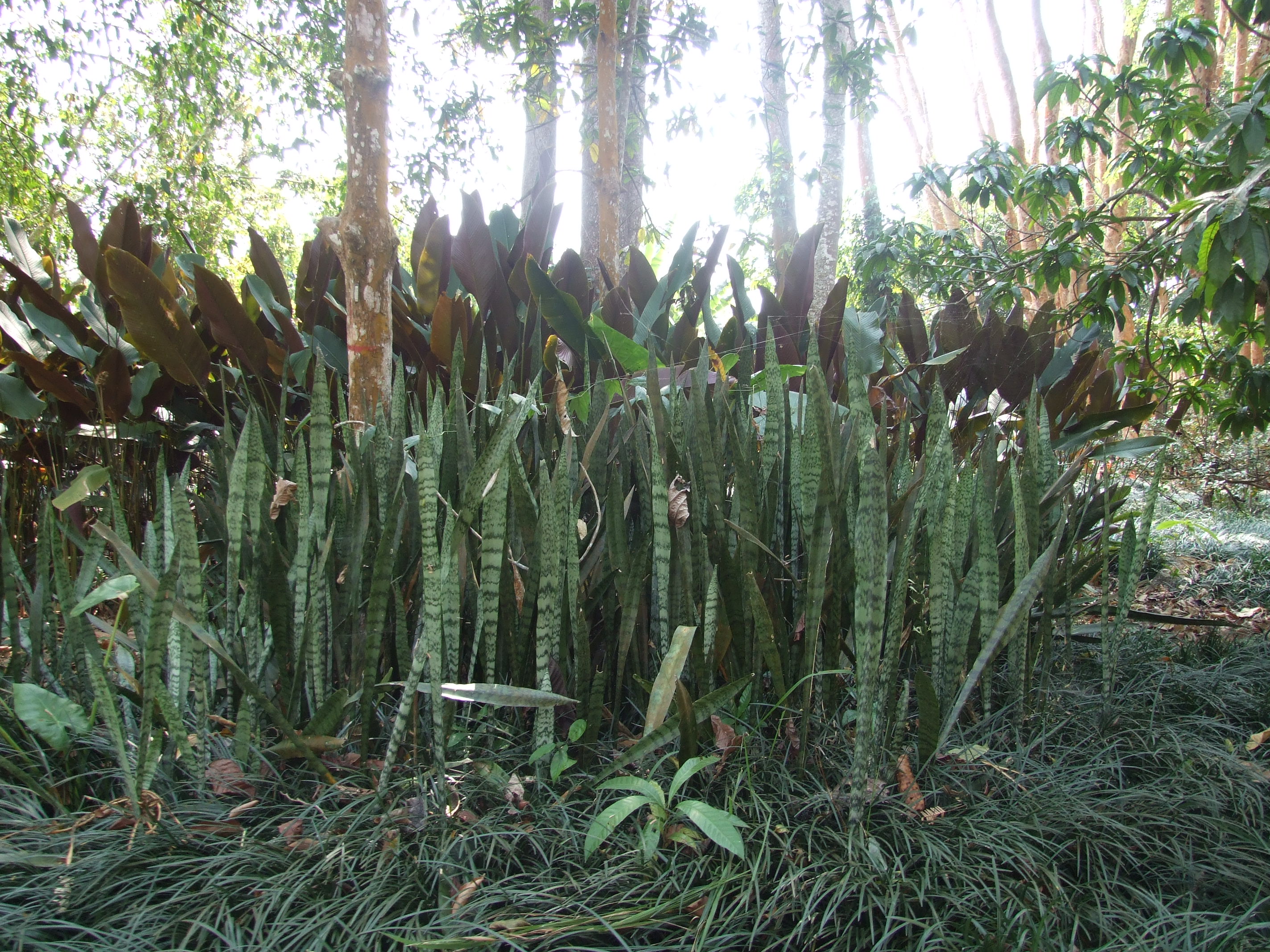 DSCF4498.JPG