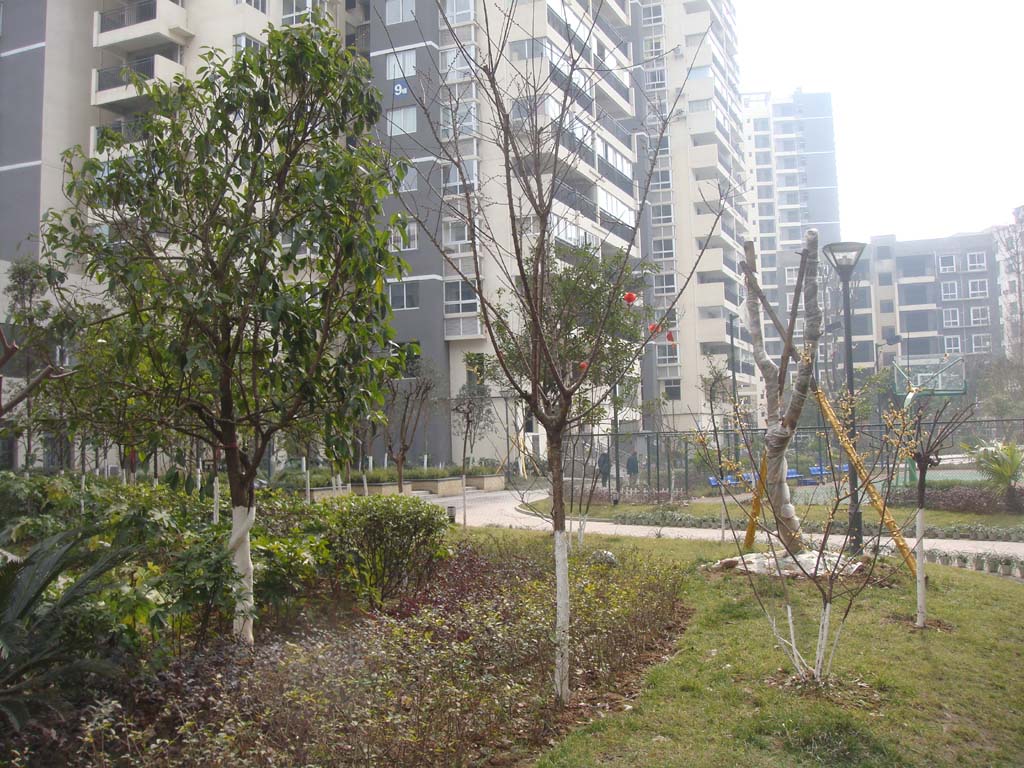 DSC05452.jpg
