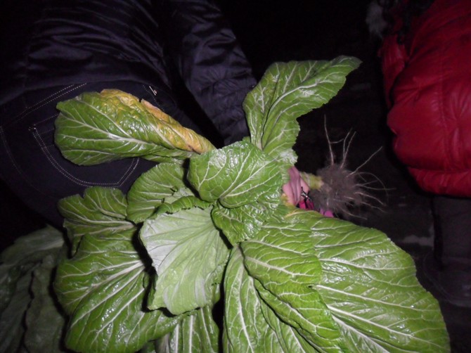 http_imgloadCATV2K60.jpg