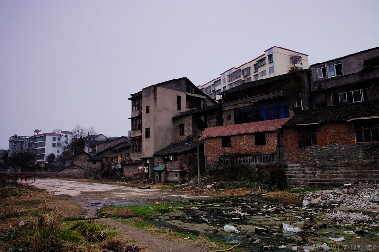 _DSF1693.jpg