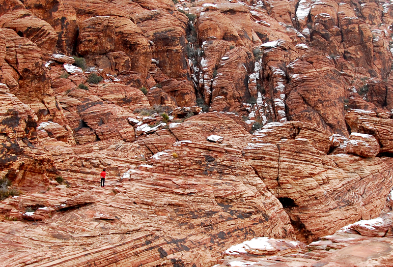 红石岩峡谷离拉斯维加斯最近的国家公园