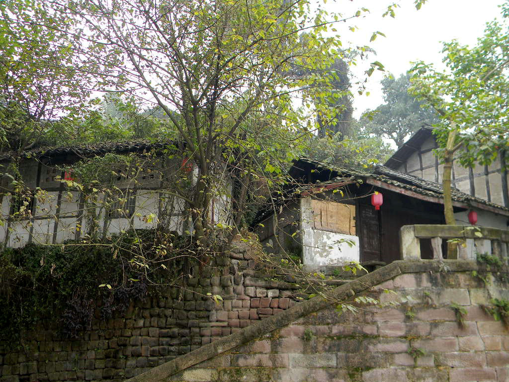 Ƭ 135.jpg
