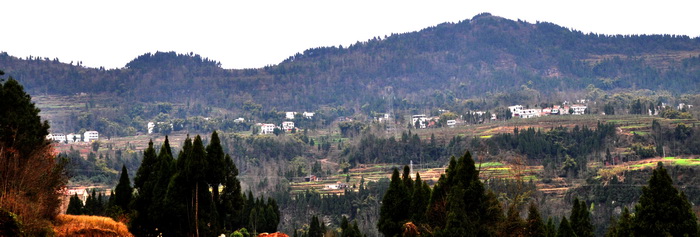 DSC_0096_С.jpg