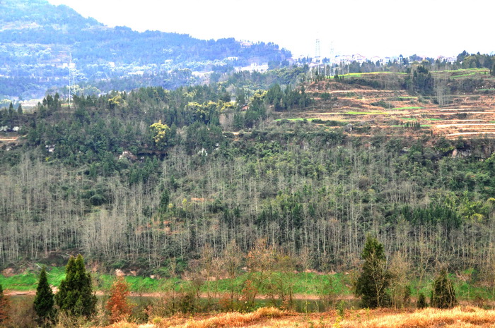 DSC_0098_С.jpg