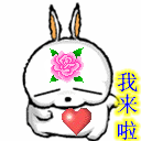 1.gif