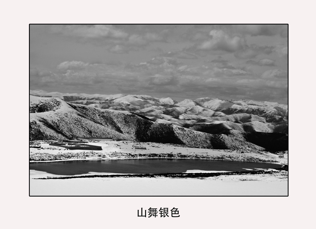 _MG_9890.jpg
