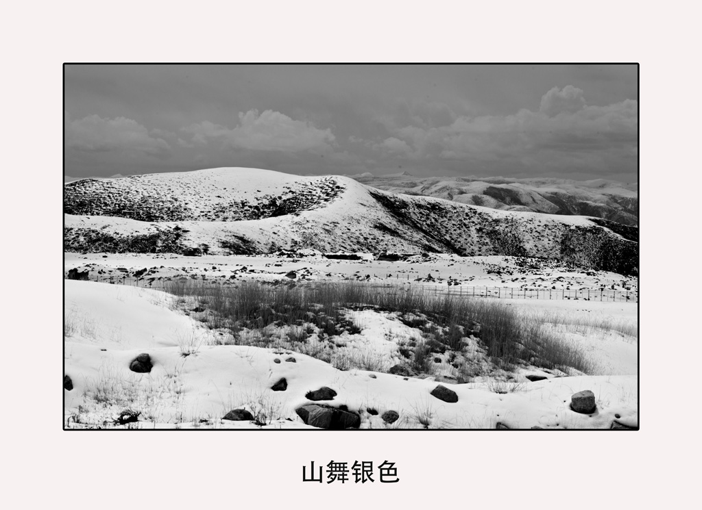 _MG_9893.jpg