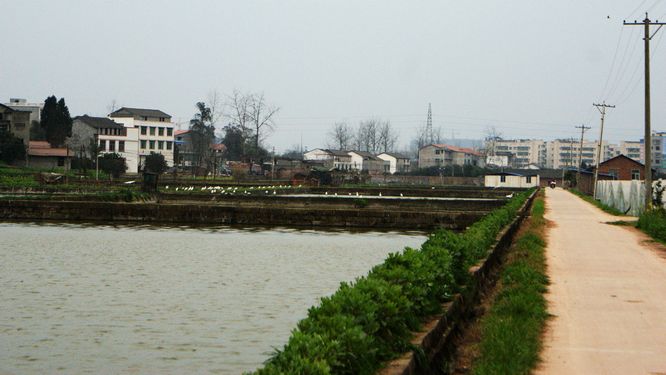 DSC01124.JPG