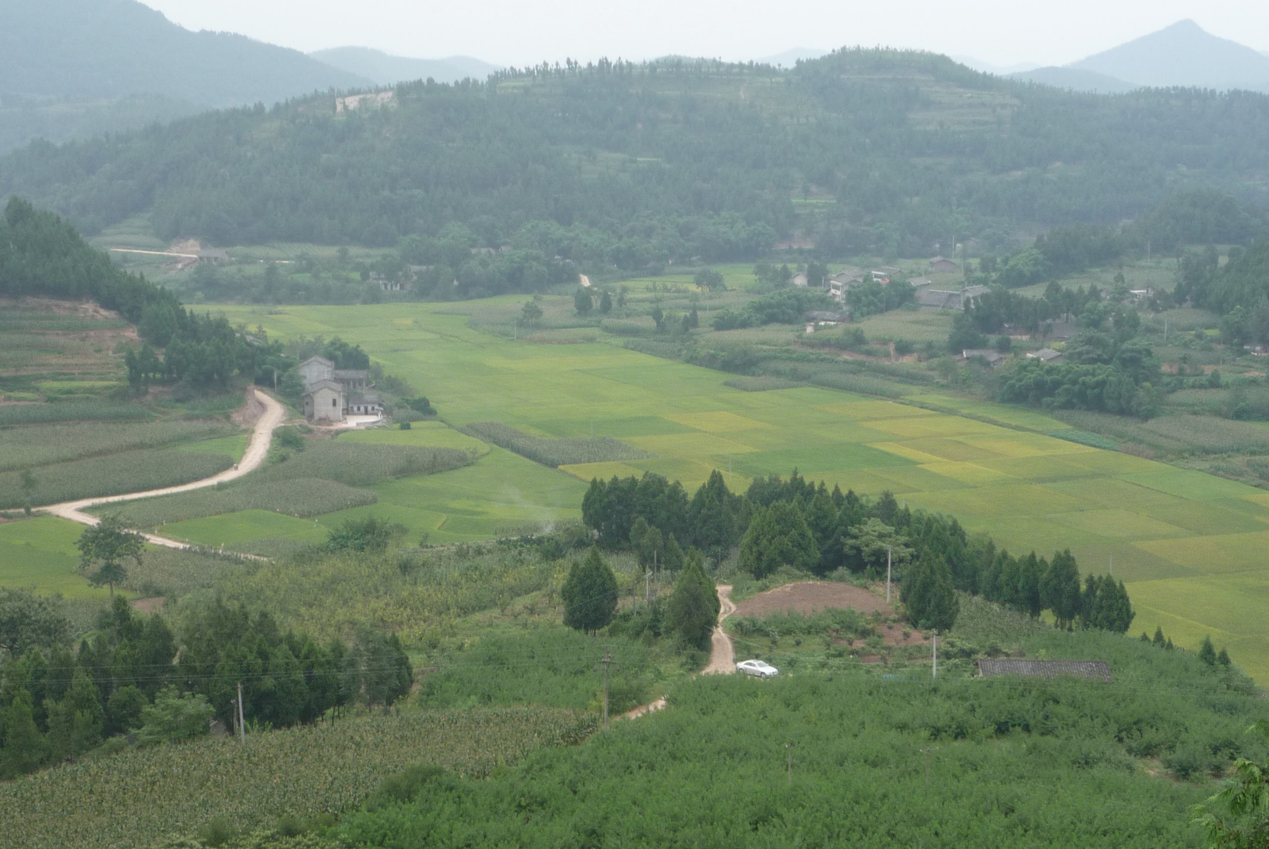 P1010024.jpg