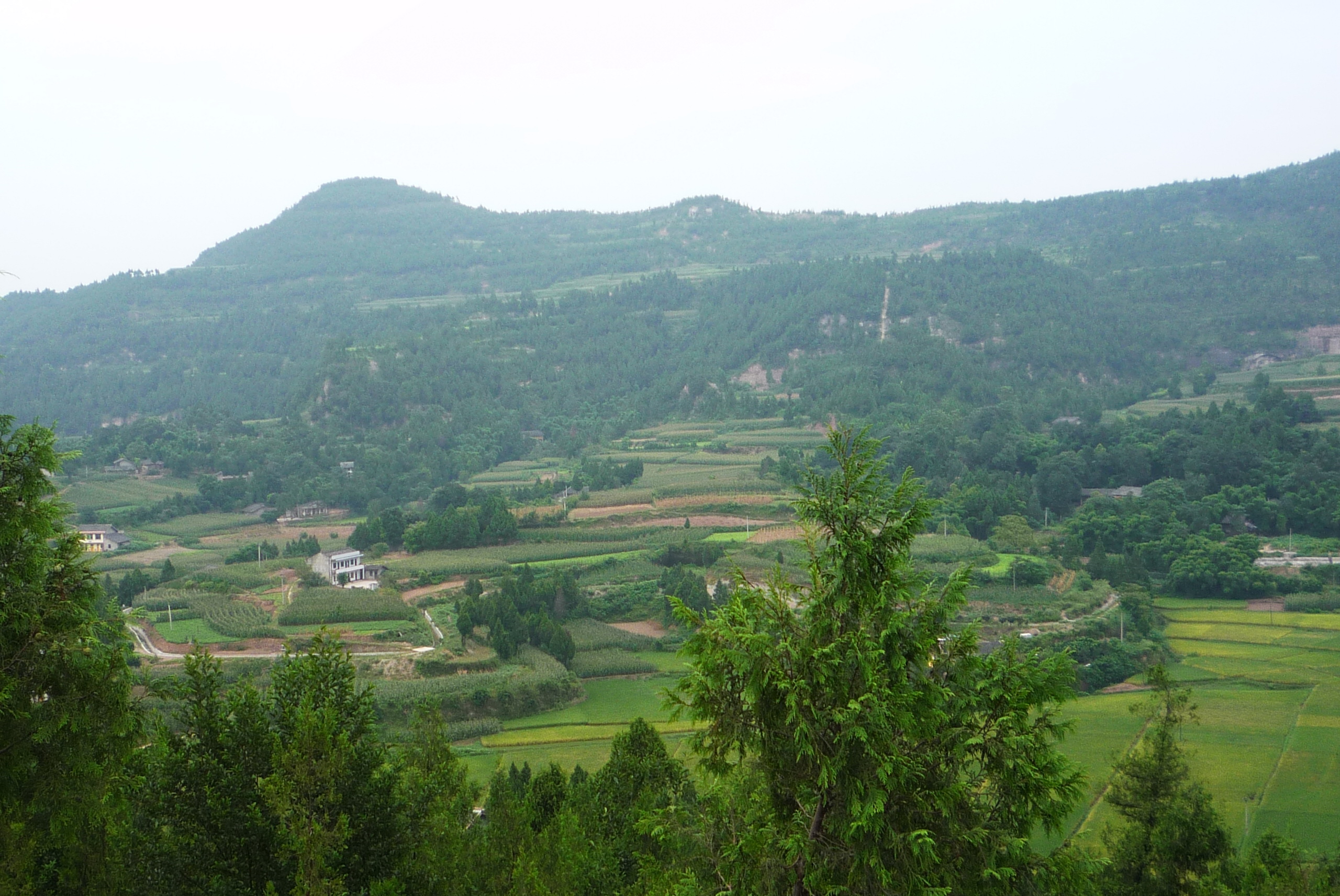 P1010029.jpg