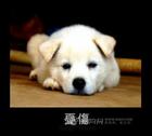 u=1414477179,3891288480&fm=13&gp=0.jpg