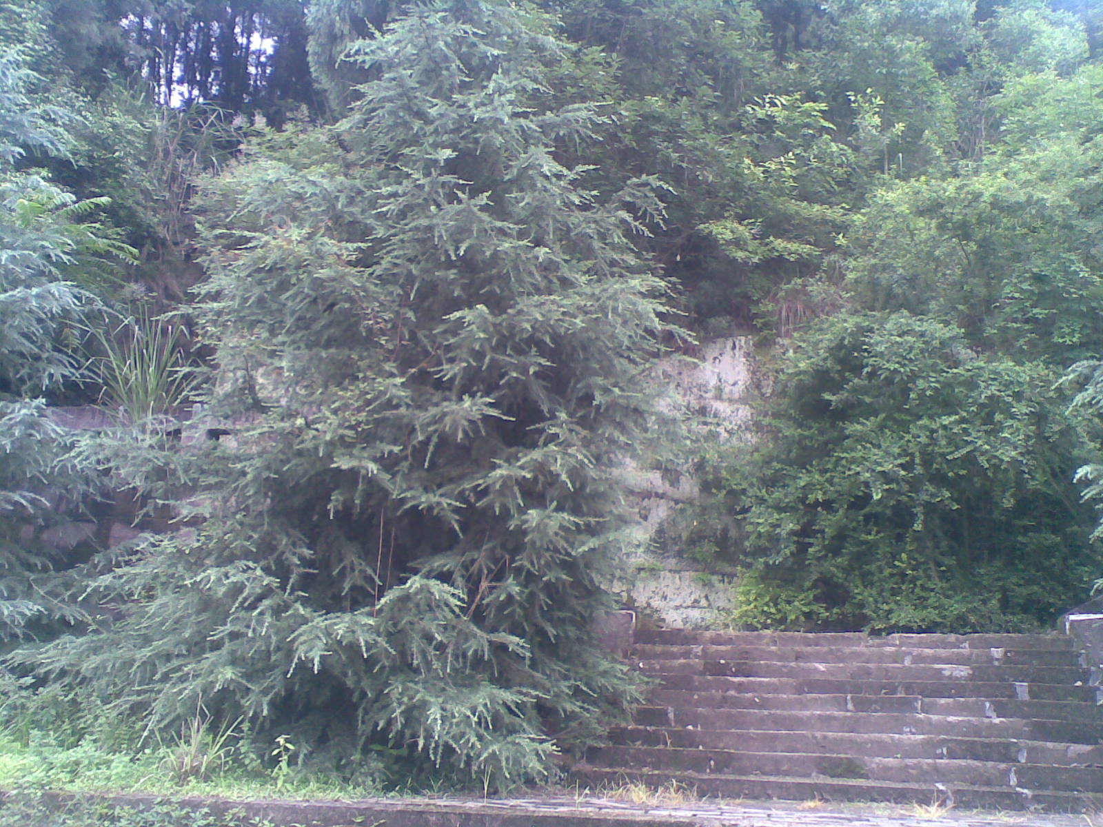 20090723(008).jpg