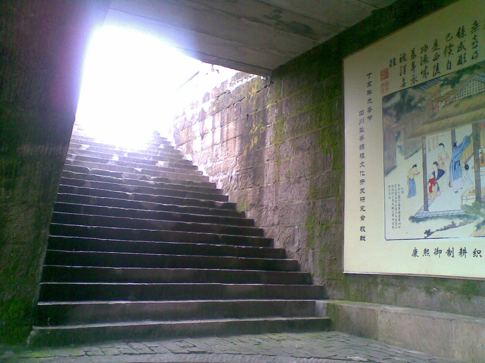 20090723(011).jpg