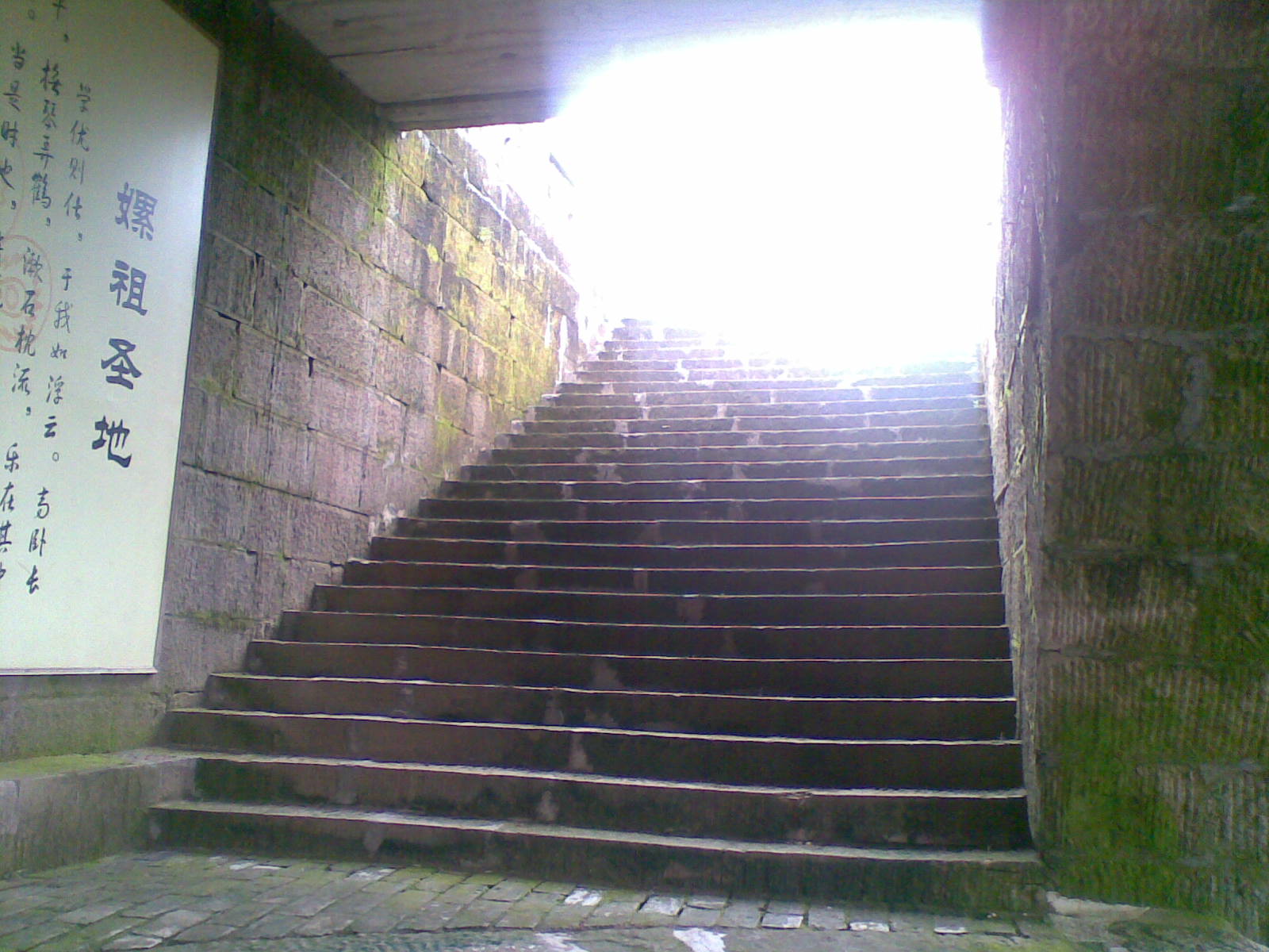 20090723(012).jpg
