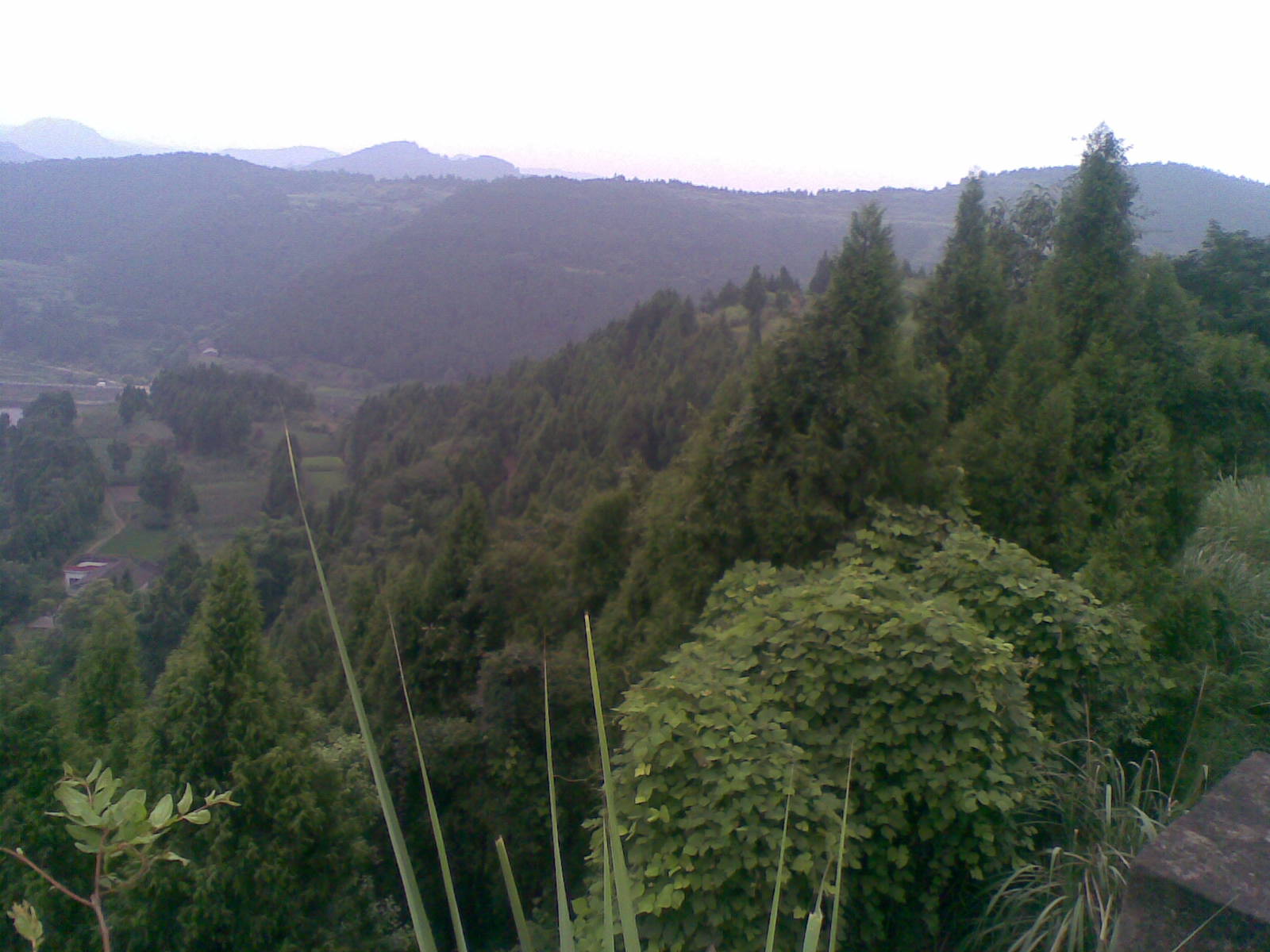 20090723(015).jpg