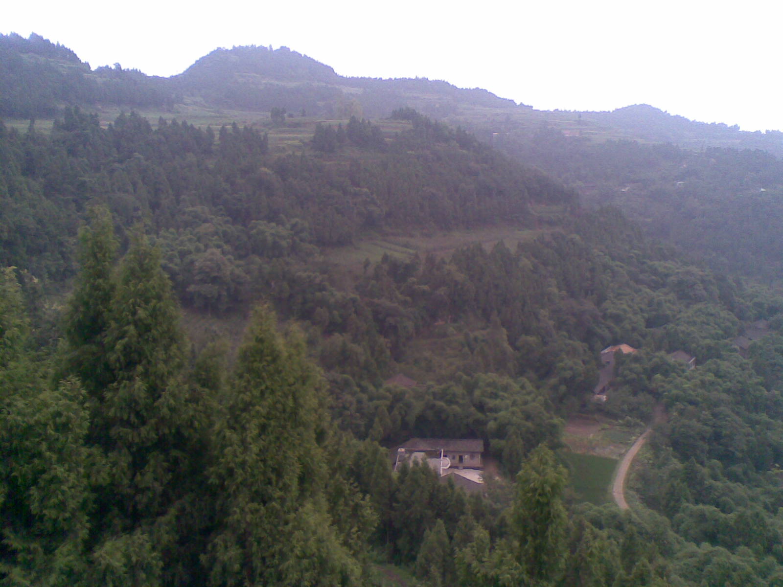 20090723(014).jpg