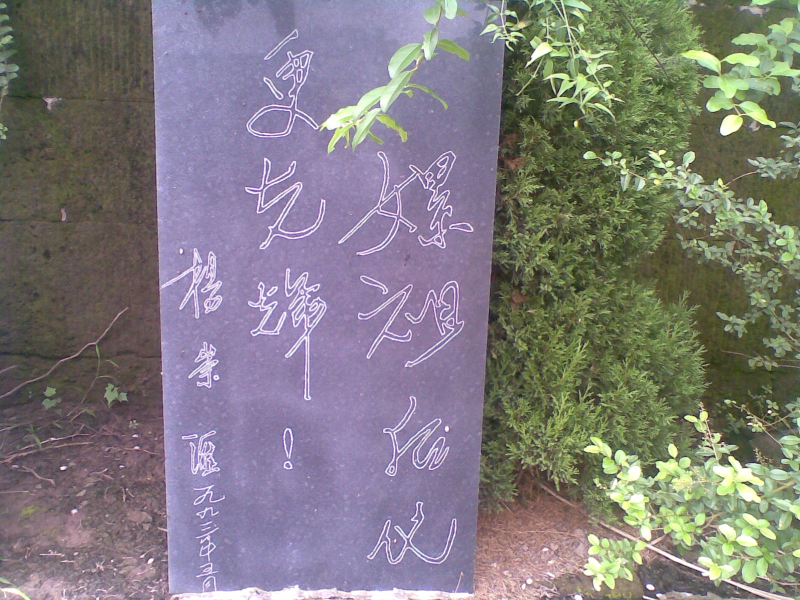 20090723(025).jpg