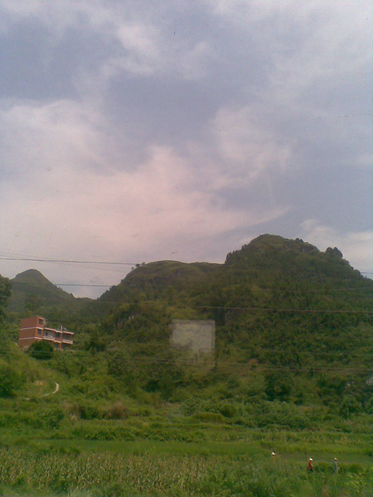 20090802(001).jpg