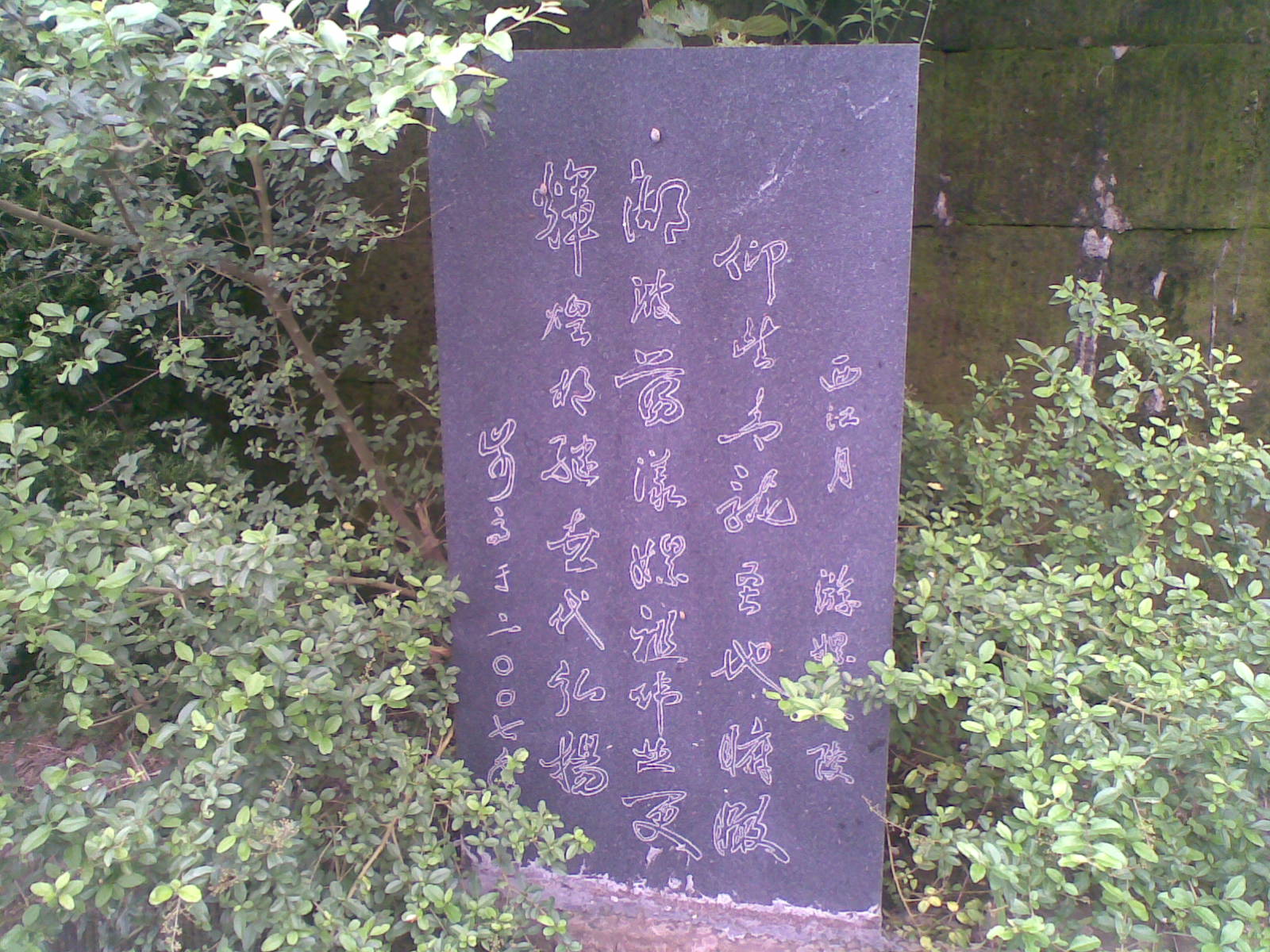 20090723(026).jpg