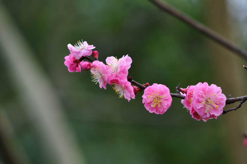 DSC_0582.jpg
