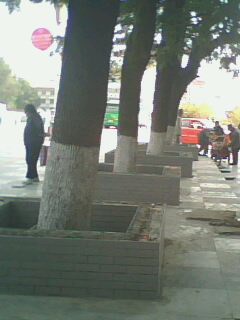 IMG0454A.jpg