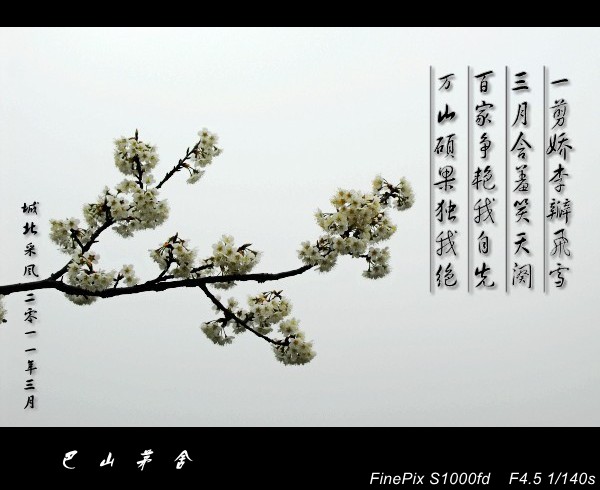 DSCF6022_3.jpg