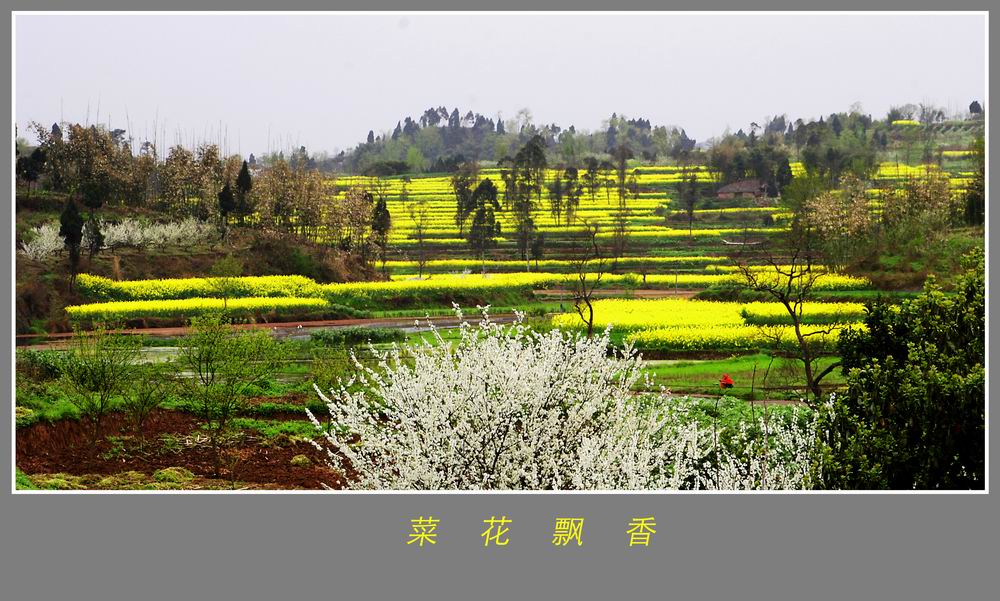 С DPP_100283b.jpg