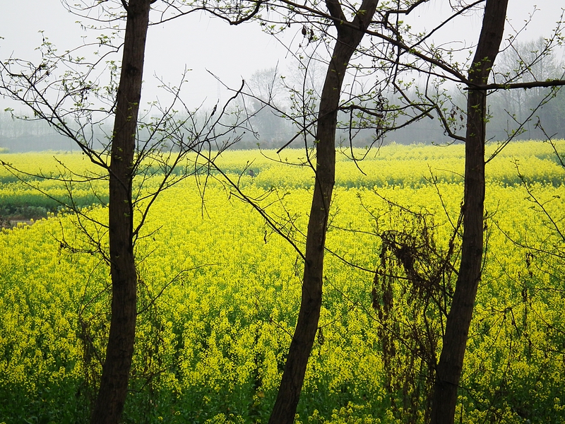DSCF5648.jpg