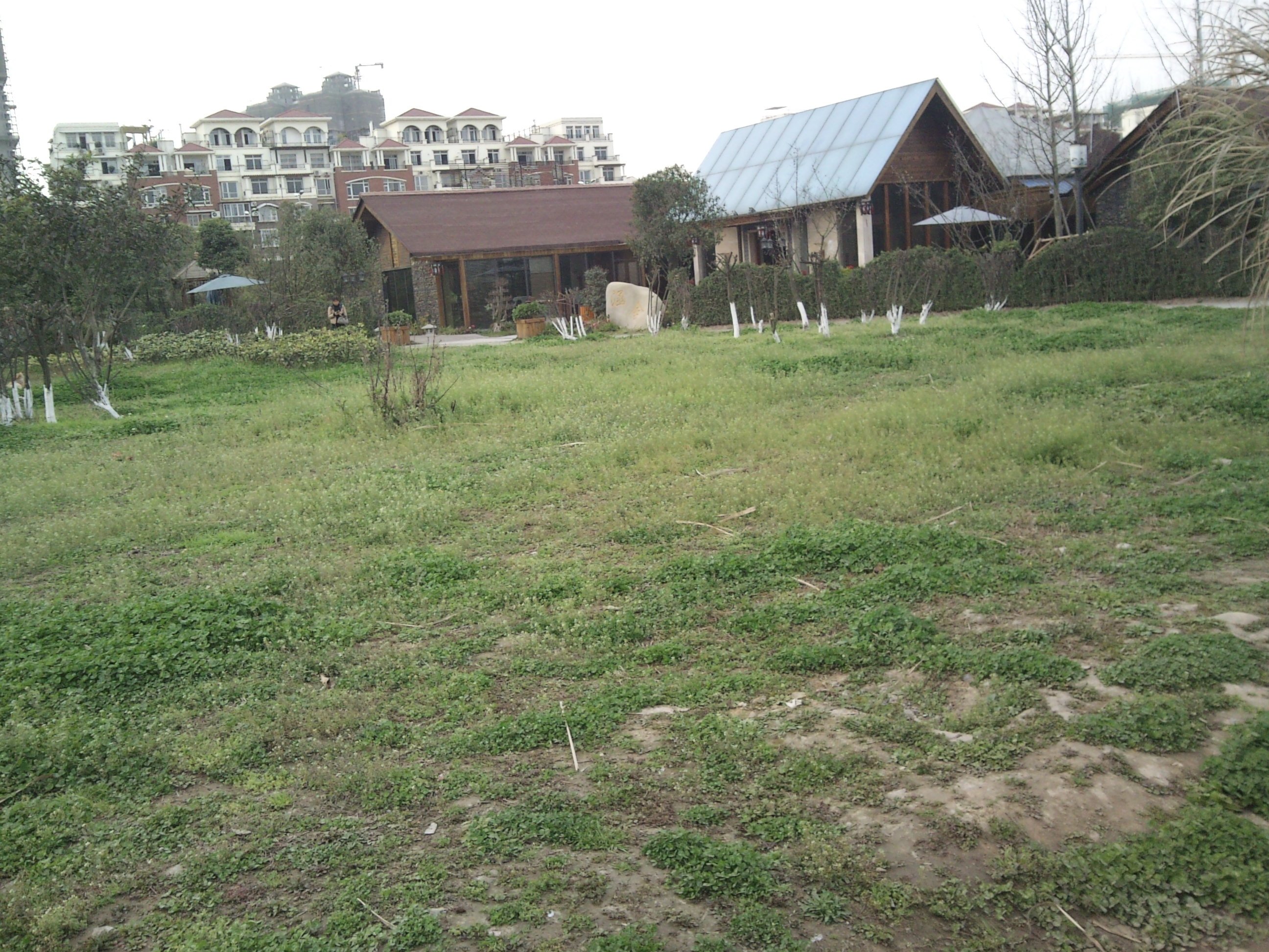 DSC00133.JPG