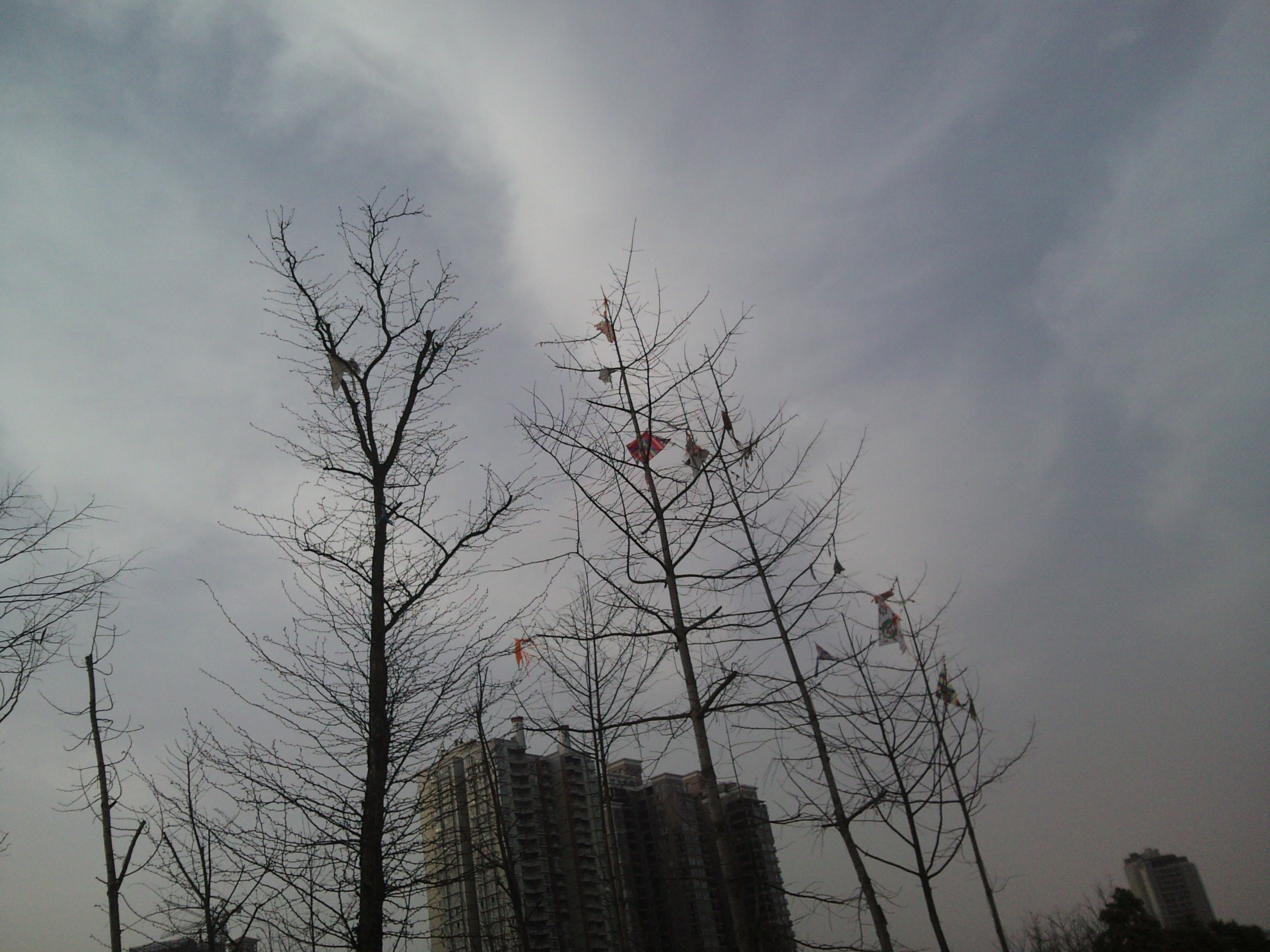 DSC00129.JPG
