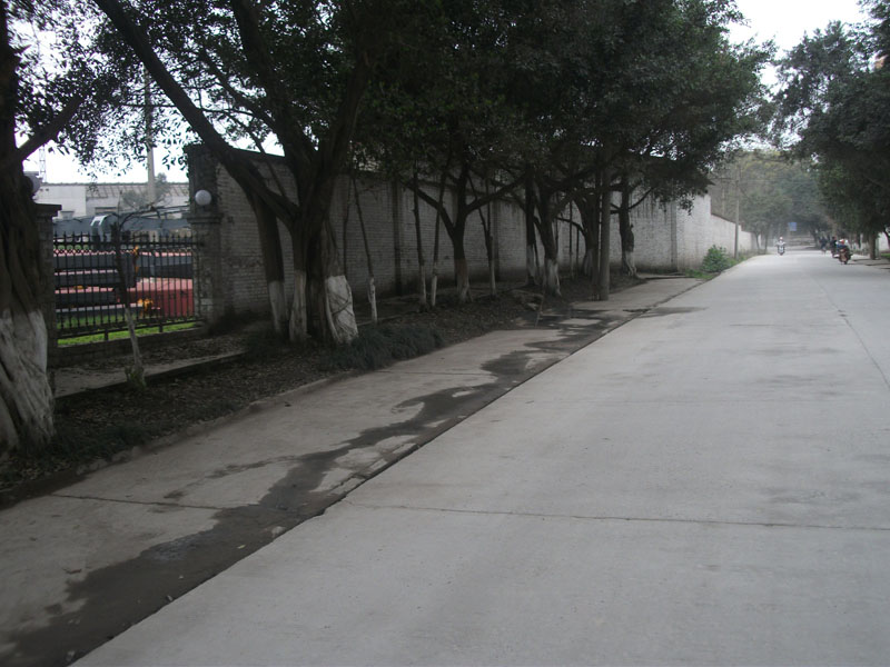DSCF8666.JPG