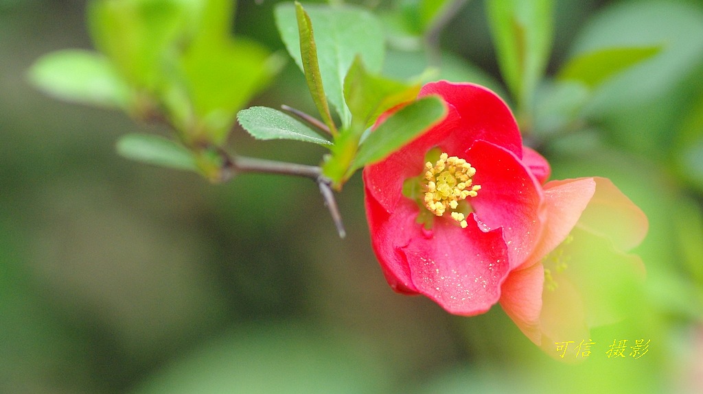 IMGP5064.jpg