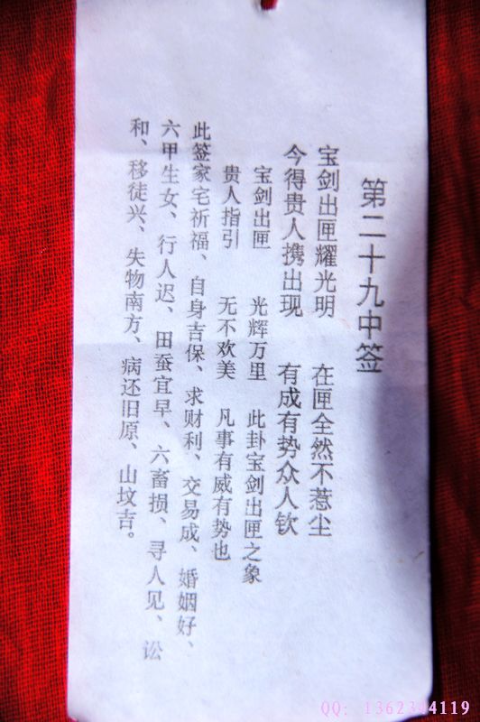 DSC05098.jpg