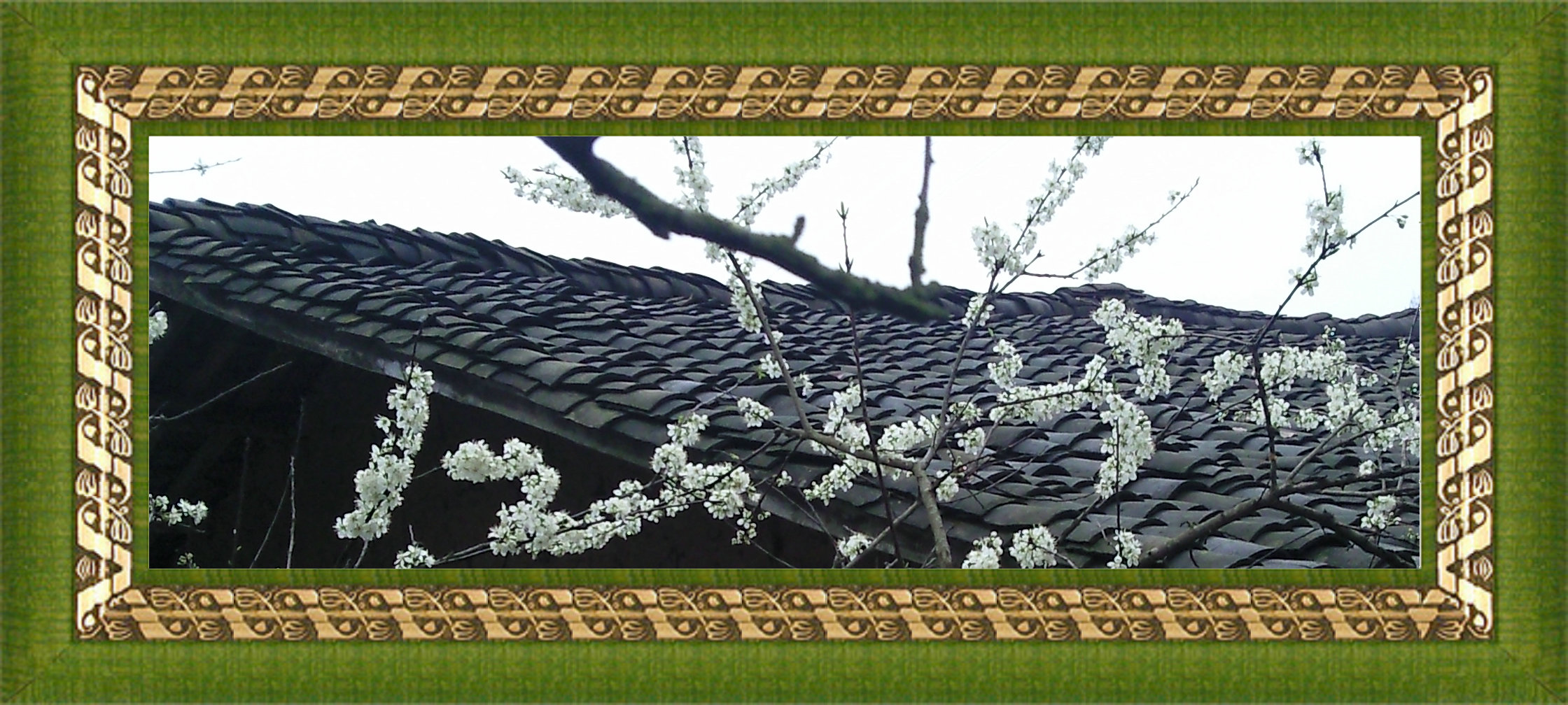 Ƭ0057.jpg