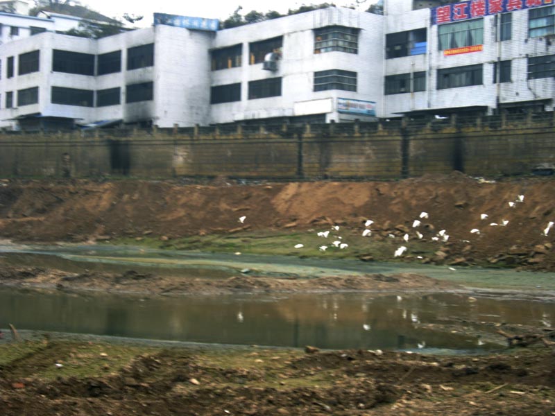 IMGP3696.JPG