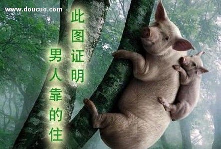 男人靠得住.jpg