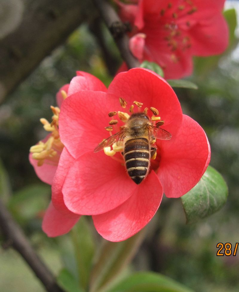 IMG_6718.jpg