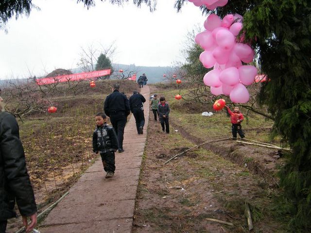 DSCF0839.JPG