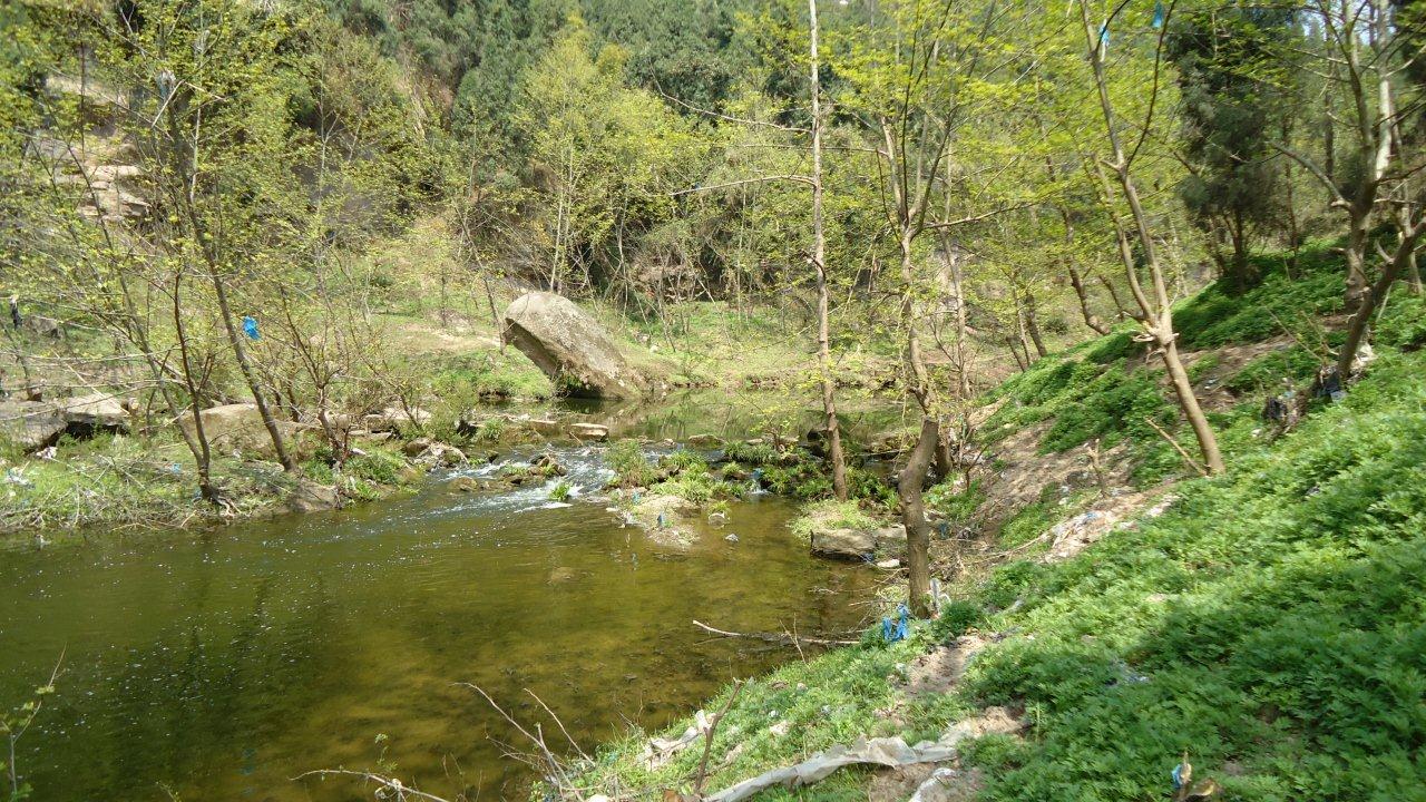 DSC03820.jpg