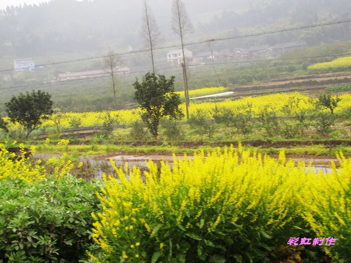 Ƭ 021.jpg